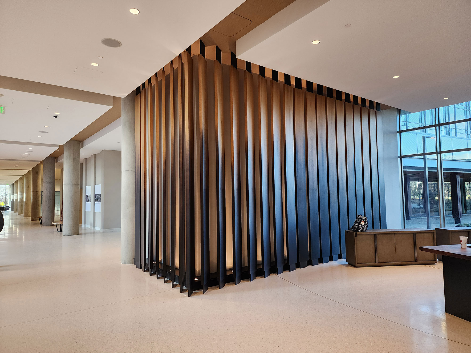 American Airlines Hospitality Complex Accent Wall